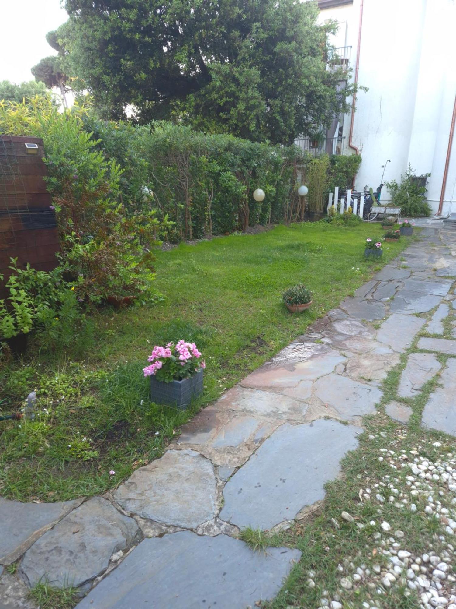 Domusauroom, Relax Nel Cuore Della Versilia - Pet Friendly Viareggio Exterior foto
